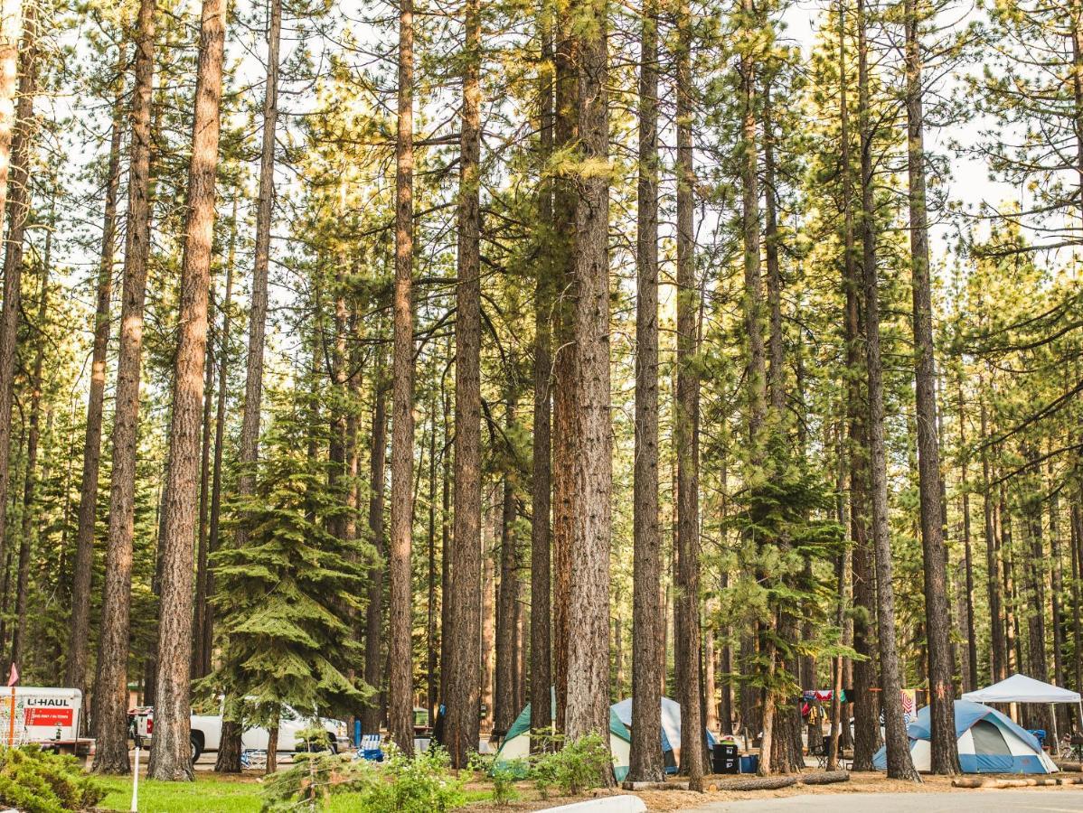 Tahoe Valley Cottage 2 South Lake Tahoe Buitenkant foto